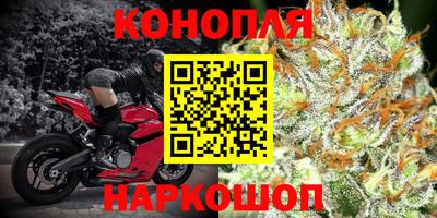 СК Ставрополь