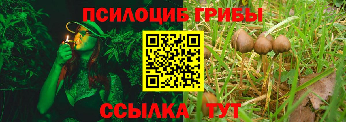 Орёл  Галлюциногенные грибы Psilocybe  Вход с VPN 